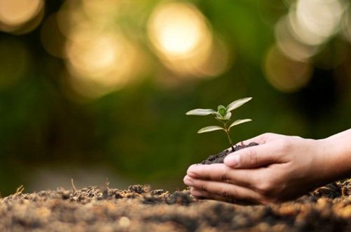 Formation Développement Durable et RSE DY QUALITE